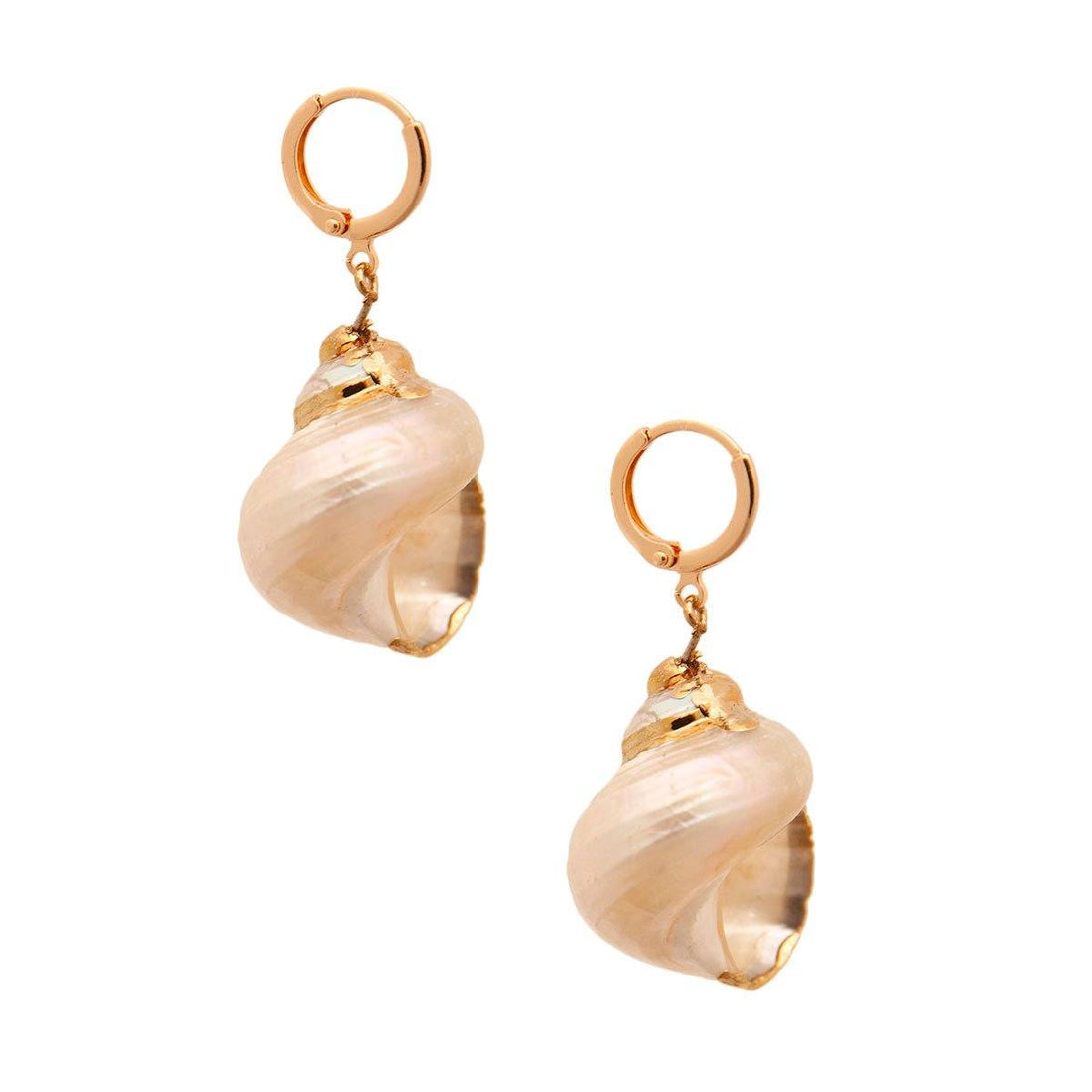 Seashell Hoop Earrings